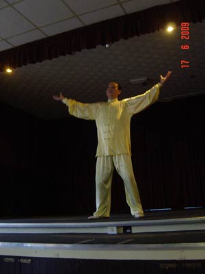 WI TAI CHI DEMO