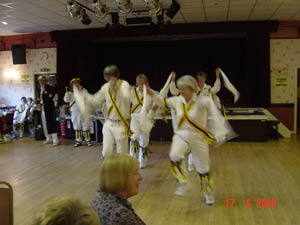 WI TAI CHI DEMO